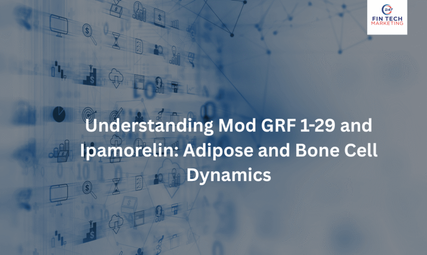 Understanding Mod (new)