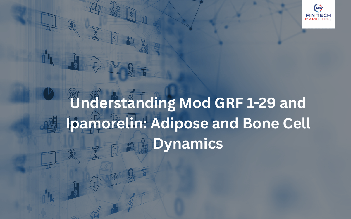 Understanding Mod (new)